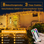 Ollny 600 LEDs 60m Lichterkette für den Garten (Warmweiß, grünes Kabel, Steckeranschluss, 8 Modi)